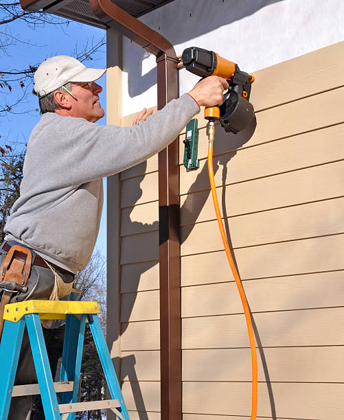 Best Vinyl Siding Installation  in Cedar Falls, IA